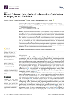 Dermal Drivers of Injury-Induced Inflammation: Contribution