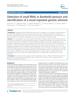 Bordetella Pertussis