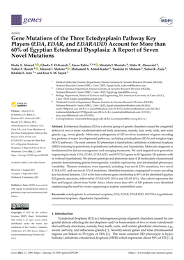 Gene Mutations of the Three Ectodysplasin Pathway Key Players