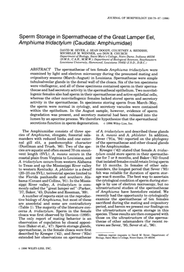 Sperm Storage in Spermathecae of the Great Lamper Eel, Amphiuma Tridacfyhm (Caudata: Amp Hi U Midae)