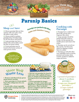 Parsnip Basics