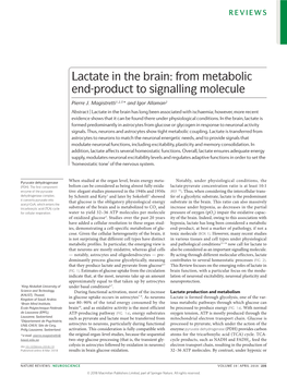 Lactate in the Brain: from Metabolic End-Product to Signalling Molecule