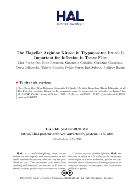 The Flagellar Arginine Kinase in Trypanosoma Brucei