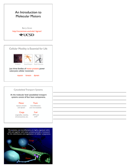 An Introduction to Molecular Motors