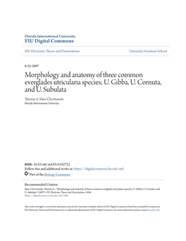 Morphology and Anatomy of Three Common Everglades Utricularia Species; U