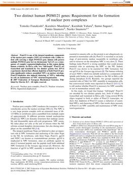 Two Distinct Human POM121 Genes: Requirement for the Formation of Nuclear Pore Complexes