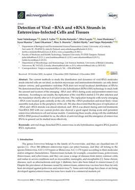 RNA and +RNA Strands in Enterovirus-Infected Cells and Tissues