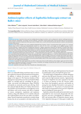 Antinociceptive Effects of Euphorbia Helioscopia Extract on Balb/C Mice