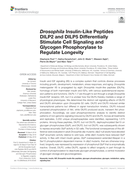 Drosophila Insulin-Like Peptides DILP2 and DILP5 Differentially Stimulate Cell Signaling and Glycogen Phosphorylase to Regulate Longevity
