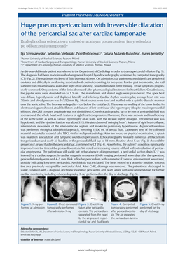 Huge Pneumopericardium with Irreversible Dilatation of the Pericardial Sac After Cardiac Tamponade