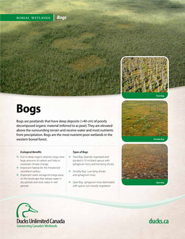 Boreal Wetlands, Bogs