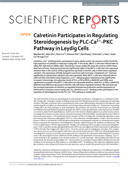 Calretinin Participates in Regulating Steroidogenesis by PLC-Ca2+-PKC