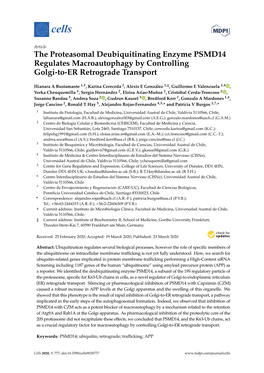 The Proteasomal Deubiquitinating Enzyme PSMD14 Regulates Macroautophagy by Controlling Golgi-To-ER Retrograde Transport