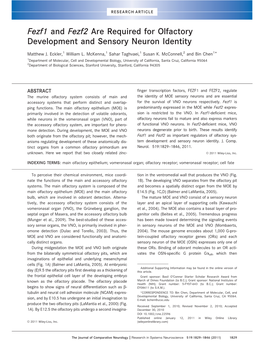 Fezf1 and Fezf2 Are Required for Olfactory Development and Sensory Neuron Identity