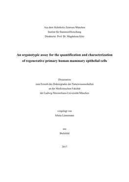 An Organotypic Assay for the Quantification and Characterization of Regenerative Primary Human Mammary Epithelial Cells