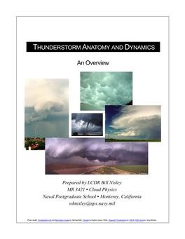 Thunderstorm Anatomy and Dynamics