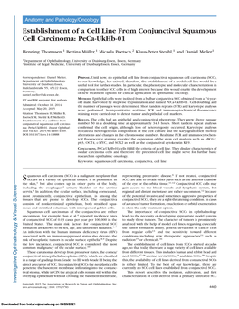 Establishment of a Cell Line from Conjunctival Squamous Cell Carcinoma: Peca-Ukhb-01