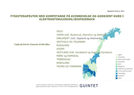 Fysioterapeuter Med Kompetanse På Kvinnehelse Og Godkjent Kurs I Elektrostimulering/Biofeedback