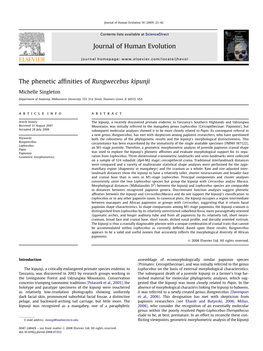 The Phenetic Affinities of Rungwecebus Kipunji