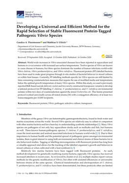 Developing a Universal and Efficient Method for the Rapid Selection Of