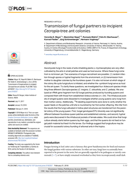 Transmission of Fungal Partners to Incipient Cecropia-Tree Ant Colonies