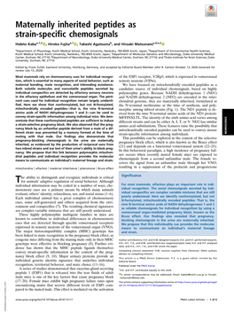 Maternally Inherited Peptides As Strain-Specific Chemosignals