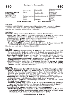 Consigned by Coonogue Stud Casamento (IRE) Shamardal Giant's Causeway Helsinki CHESNUT FILLY FOAL (IRE) April 29Th, 2014 (Third