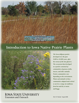 Introduction to Iowa Native Prairie Plants