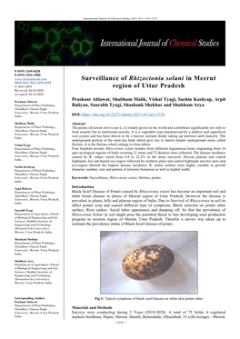 Surveillance of Rhizoctonia Solani in Meerut Region of Uttar Pradesh