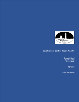 Development Control Report No.295