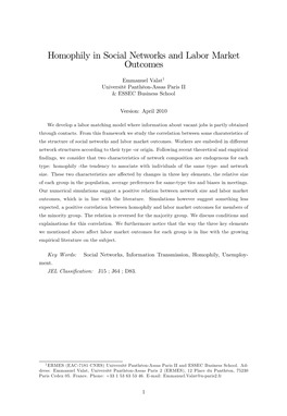 Homophily in Social Networks and Labor Market Outcomes