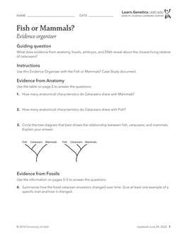 Evidence Organizer