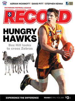 Hungry Hawks Box Hill Looks to Cross Zebras