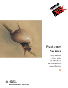 Freshwater Molluscs