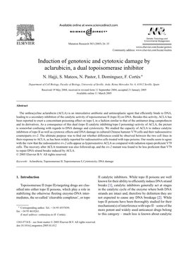 Induction of Genotoxic and Cytotoxic Damage by Aclarubicin, a Dual Topoisomerase Inhibitor N