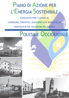 Piano Di Azione Per L'energia Sostenibile Polesine