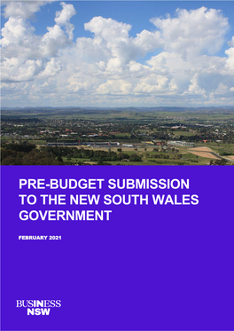 Pre-Budget Submission to the New South Wales Government 2