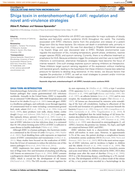 Shiga Toxin in Enterohemorrhagic E.Coli: Regulation and Novel Anti-Virulence Strategies