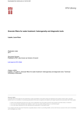 Granular Filters for Water Treatment: Heterogeneity and Diagnostic Tools