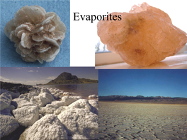 Evaporites Evaporites