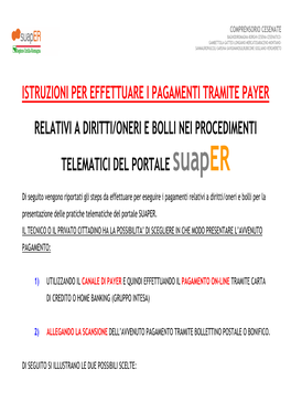 Istruzioni Per Effettuare I Pagamenti Tramite Payer