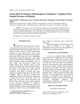 Genus Delta De Saussure (Hymenoptera: Eumininae: Vespidae) from Punjab Province of Pakistan