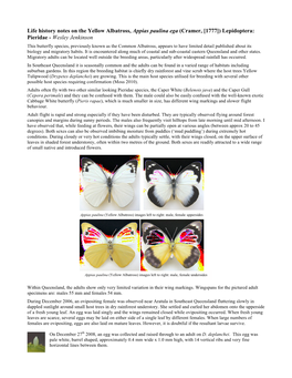 Life History Notes on the Yellow Albatross, Appias Paulina Ega (Cramer, [1777]) Lepidoptera: Pieridae - Wesley Jenkinson