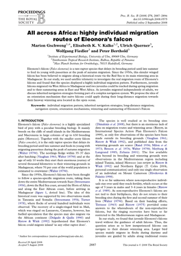 All Across Africa: Highly Individual Migration Routes of Eleonora's Falcon