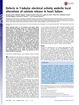 Defects in T-Tubular Electrical Activity Underlie Local Alterations of Calcium Release in Heart Failure