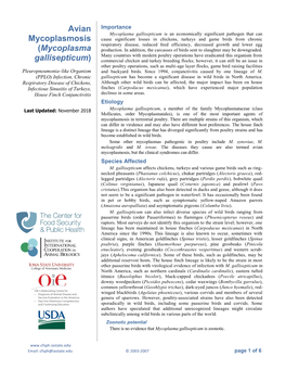 Avian Mycoplasmosis (Mycoplasma Gallisepticum)