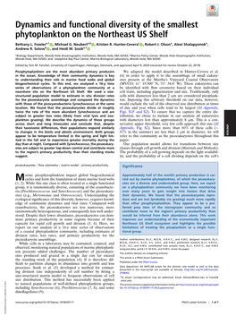 Dynamics and Functional Diversity of the Smallest