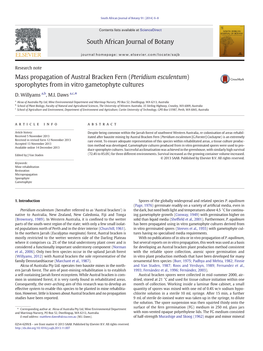 Pteridium Esculentum) Sporophytes from in Vitro Gametophyte Cultures