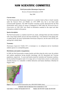 Pied Oystercatcher Haematopus Longirostris Review of Current Information in NSW May 2008