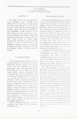 The Pliocene Horsenannippus Minor in Georgia: Geologic Implications M